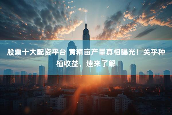 股票十大配资平台 黄精亩产量真相曝光！关乎种植收益，速来了解