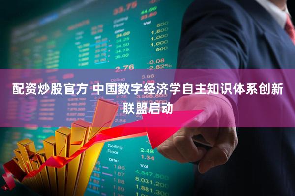 配资炒股官方 中国数字经济学自主知识体系创新联盟启动